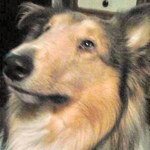 Meet your Posher, Kerrigan